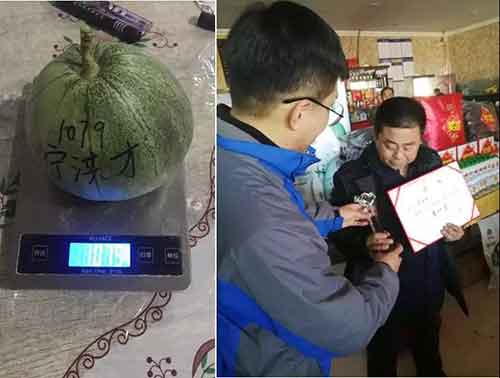 Congratulations on the perfect success of the first "Demei Melon King" Contest(圖2)