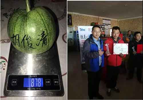 Congratulations on the perfect success of the first "Demei Melon King" Contest(圖3)