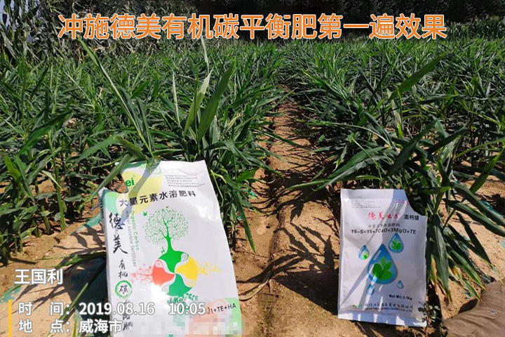 Demei organic carbon fertilizer usage case(圖4)